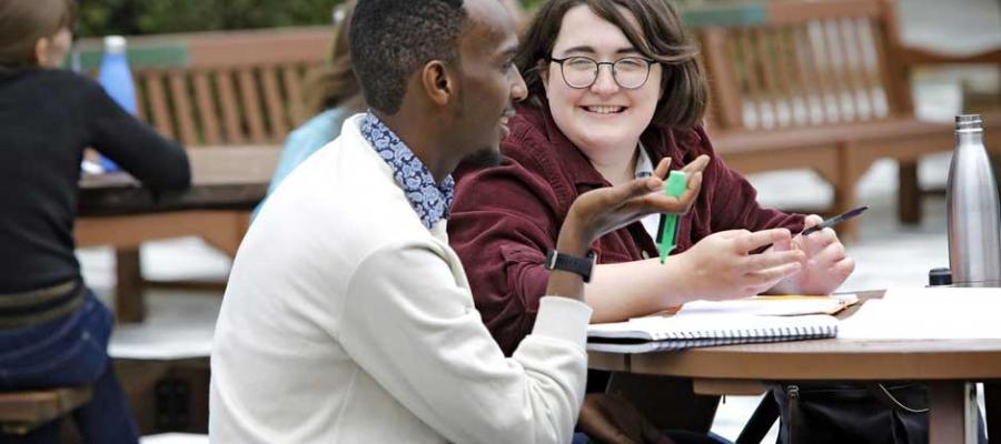 Students studying in quad