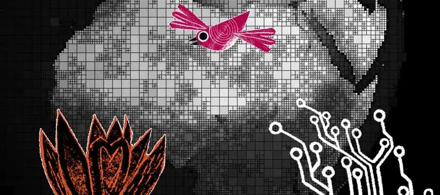 Pink bird against black and white background