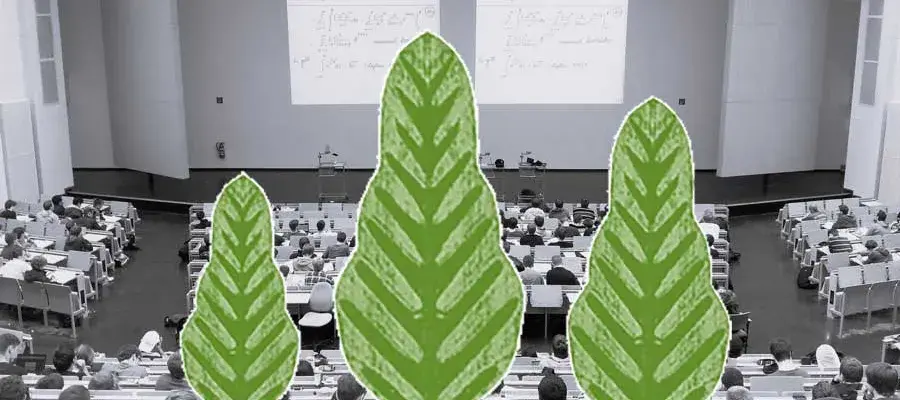 Trees against photo of a classroom