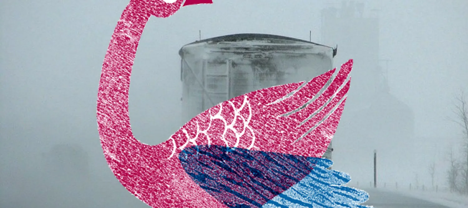Pink illustrated goose against a black and white background