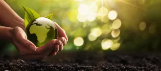 BSL climate Sscience news