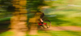 Mountain biking through trees